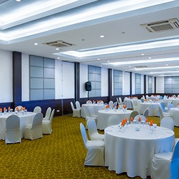 Meeting & Convention